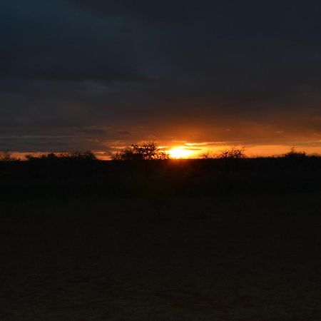 Wild Amboseli Ndovu Cottage. Exterior photo