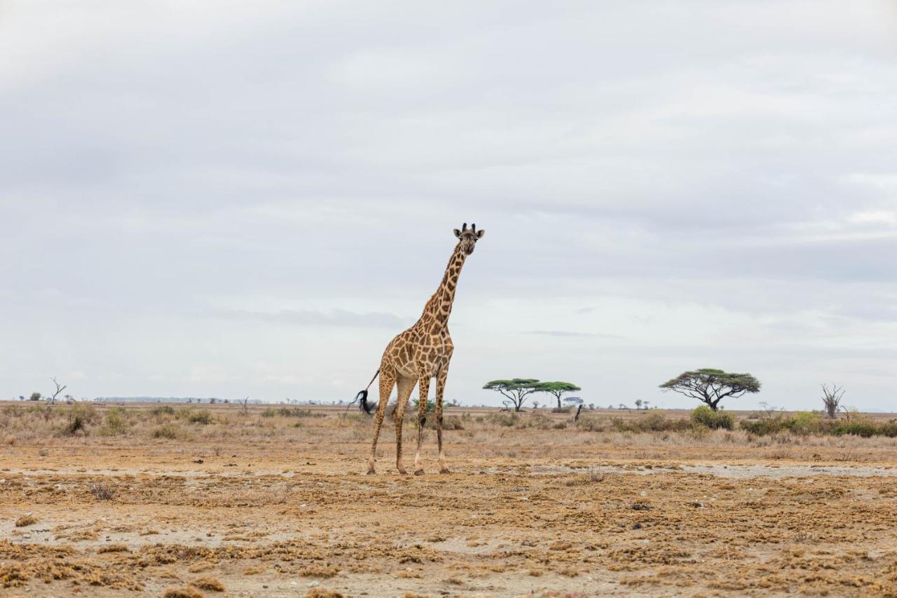 Wild Amboseli Ndovu Cottage. Exterior photo