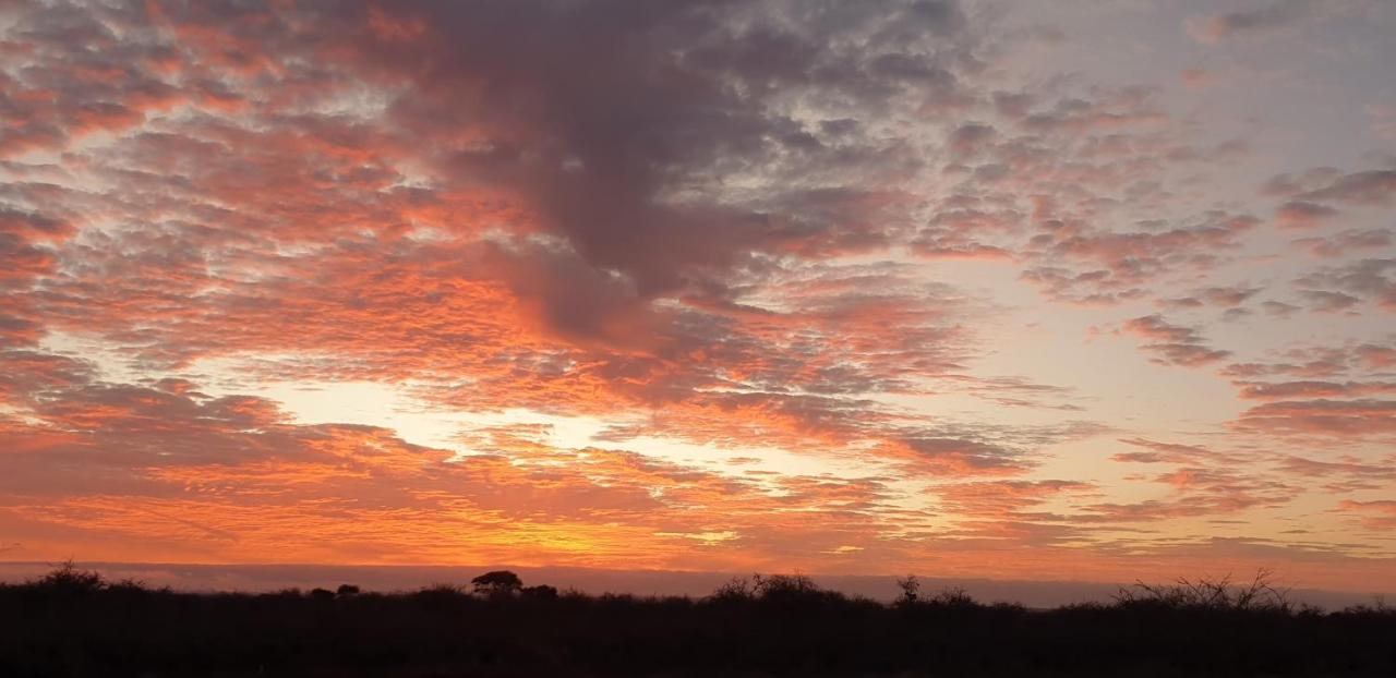 Wild Amboseli Ndovu Cottage. Exterior photo