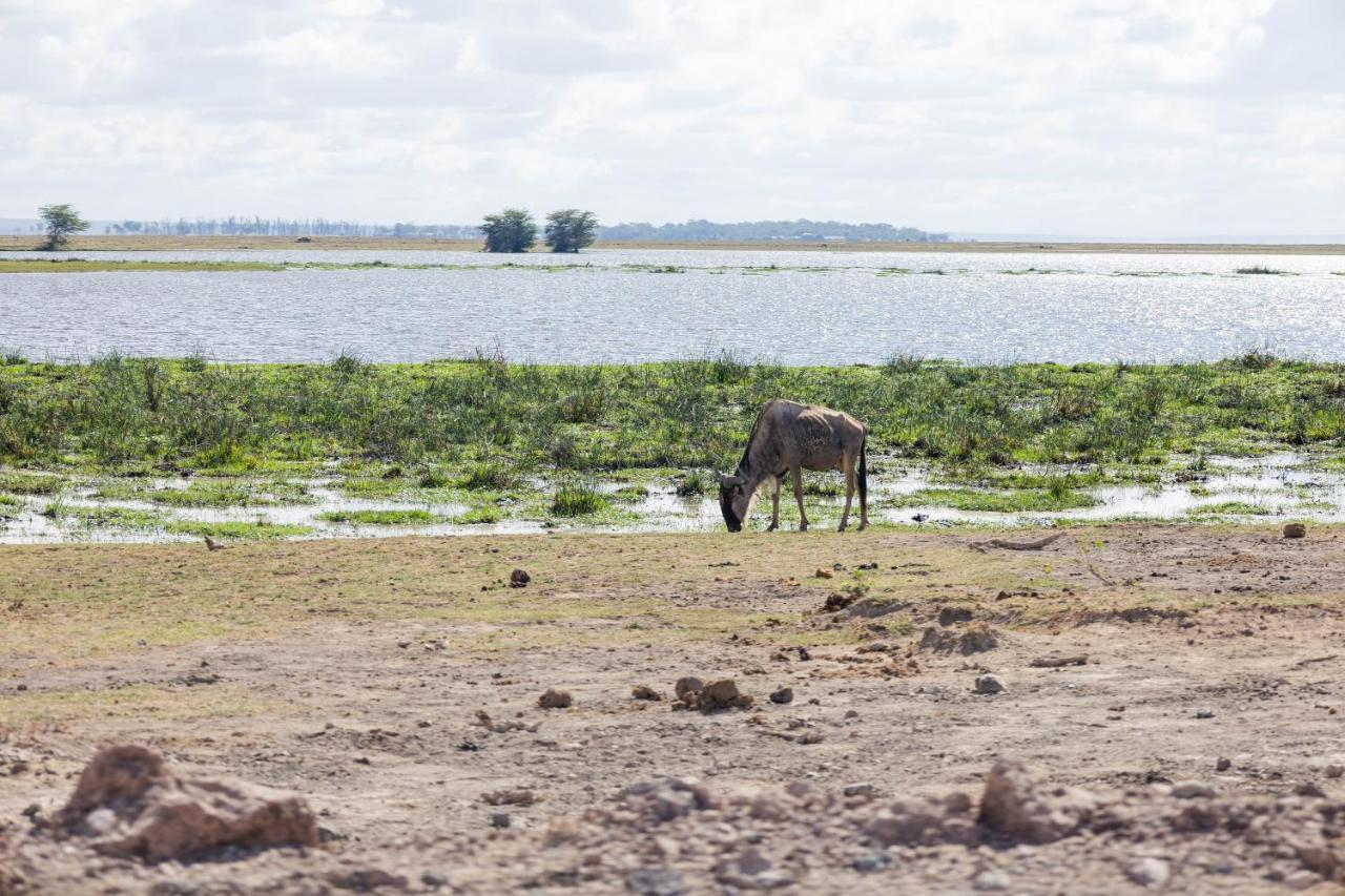 Wild Amboseli Ndovu Cottage. Exterior photo