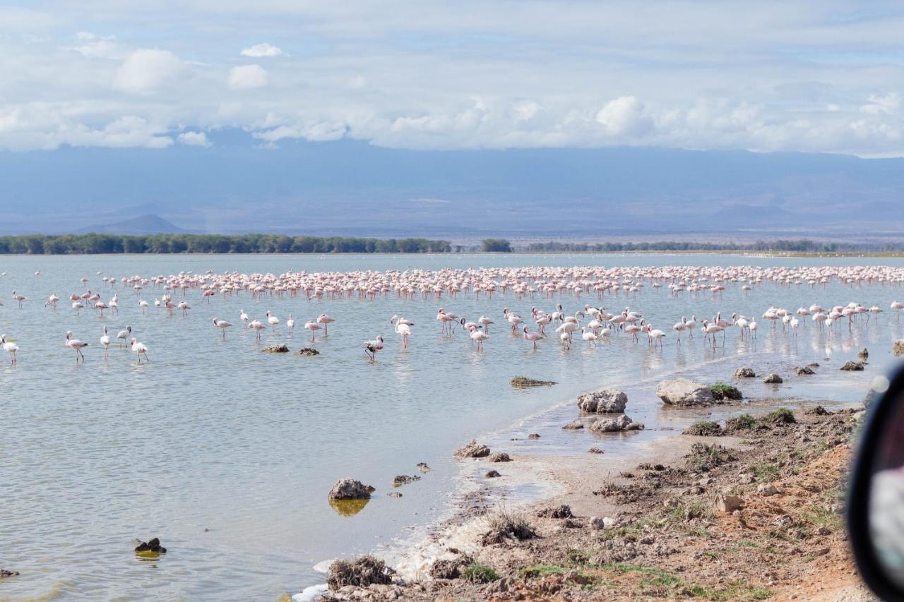 Wild Amboseli Ndovu Cottage. Exterior photo