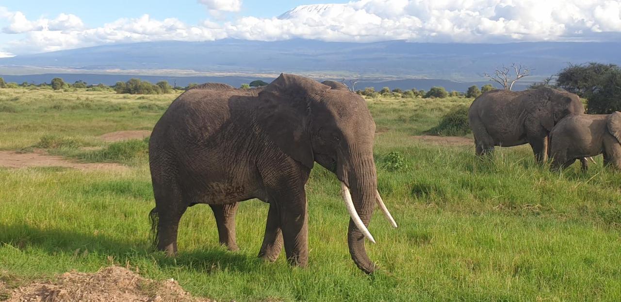 Wild Amboseli Ndovu Cottage. Exterior photo