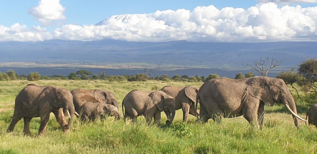 Wild Amboseli Ndovu Cottage. Exterior photo