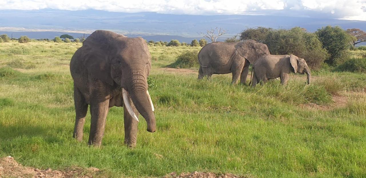 Wild Amboseli Ndovu Cottage. Exterior photo