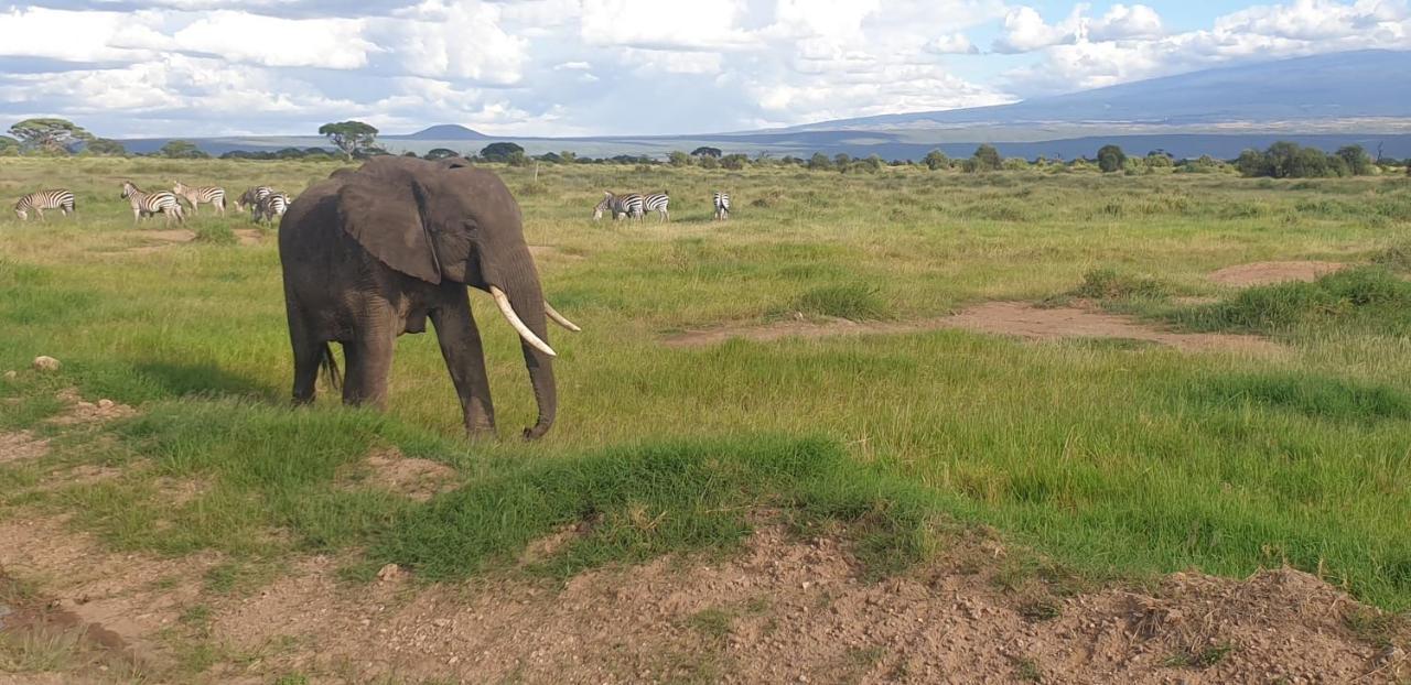 Wild Amboseli Ndovu Cottage. Exterior photo