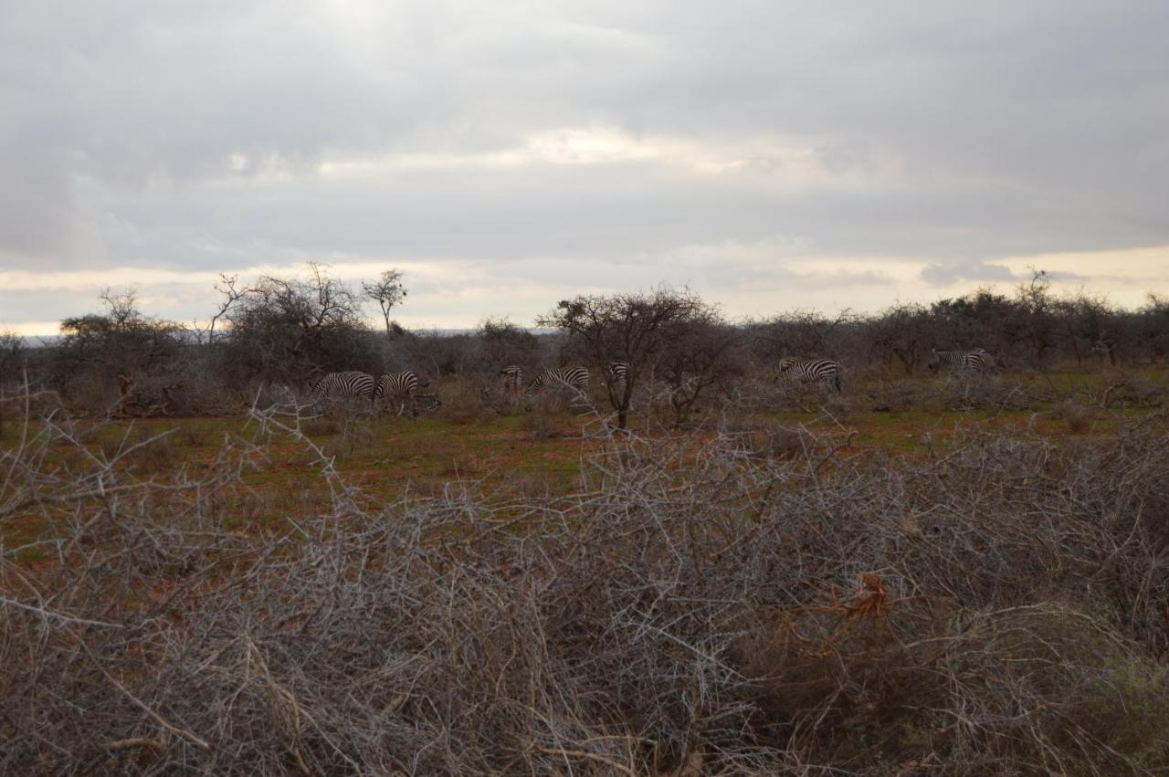 Wild Amboseli Ndovu Cottage. Exterior photo