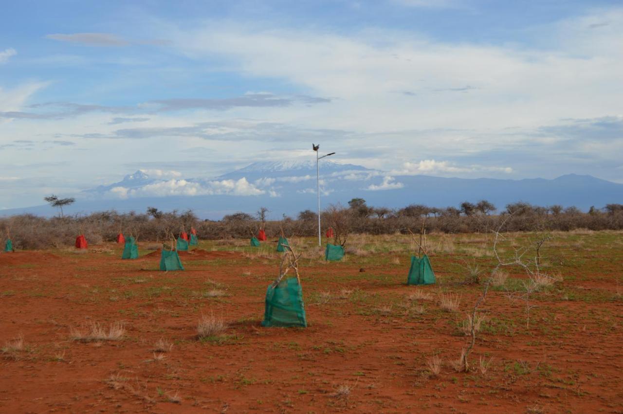 Wild Amboseli Ndovu Cottage. Exterior photo