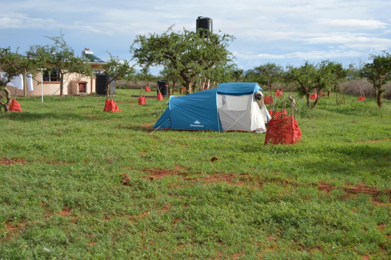 Wild Amboseli Ndovu Cottage. Exterior photo