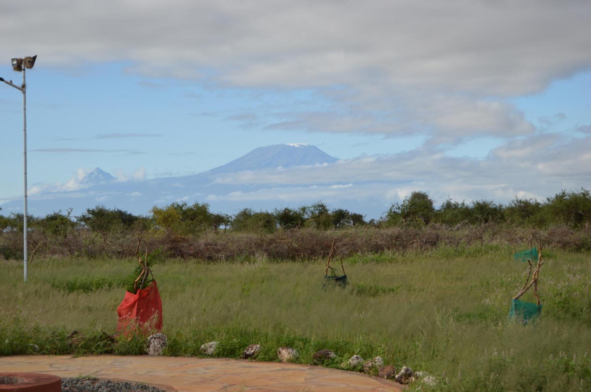 Wild Amboseli Ndovu Cottage. Exterior photo