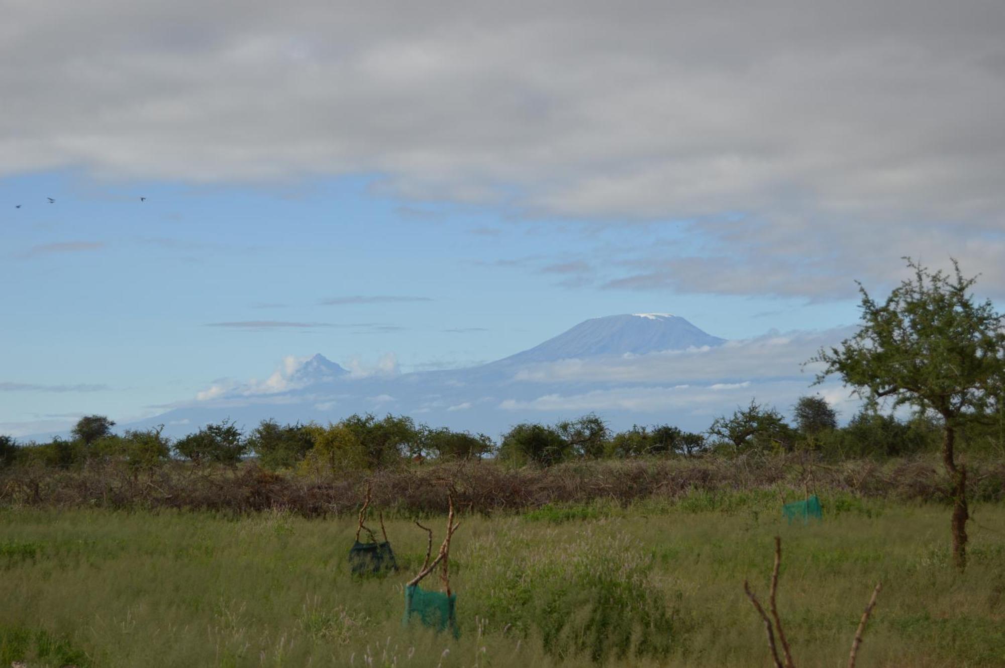 Wild Amboseli Ndovu Cottage. Exterior photo