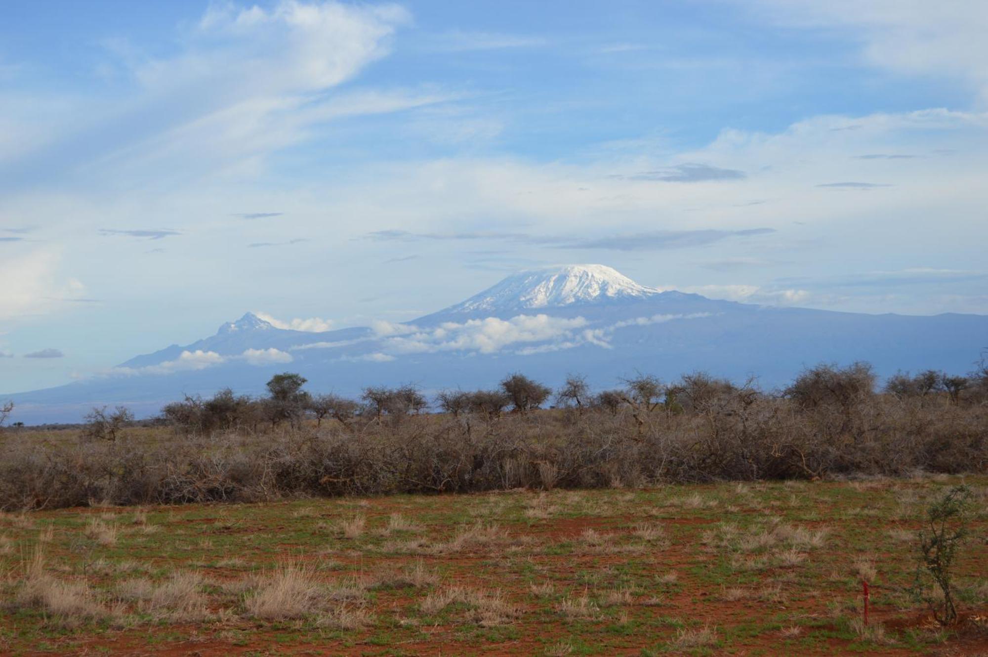 Wild Amboseli Ndovu Cottage. Exterior photo